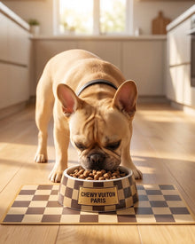 Tan Checker Chewy Vuiton Bowls & Mat