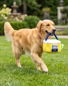 Grrrona Cooler Interactive Toy
