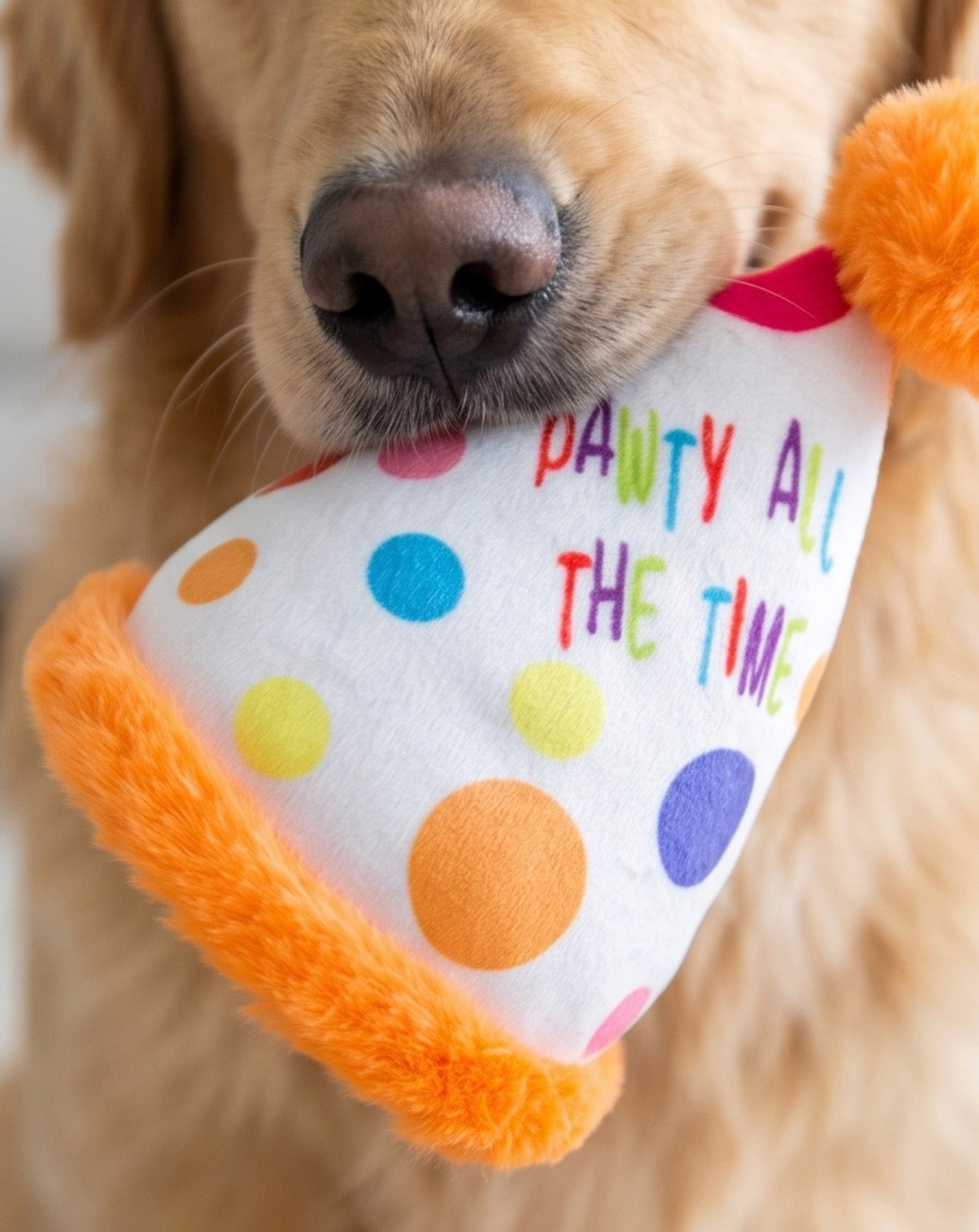 Happy Birthday Pawty Hat Toy