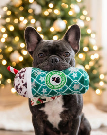 Starbarks Puppermint Mocha - Green Stars Cup Christmas Plush Dog Toy Holidays