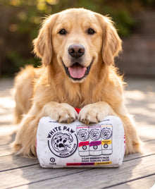 White Paw Grrriety Pack - Activity House