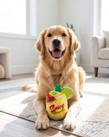 Spicy Muttgarita | Squeaky Plush Dog Toy with Crinkle & Mesh Lining