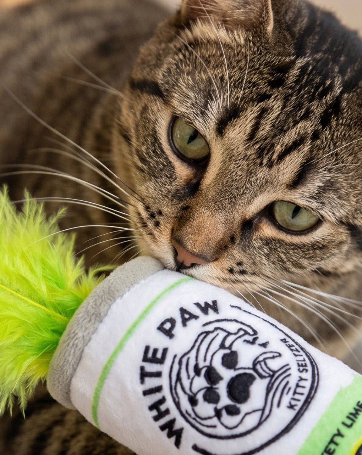 White Paw (Mango & Lime) - Organic Catnip