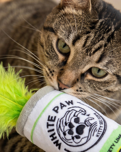 White Paw (Mango & Lime) - Organic Catnip