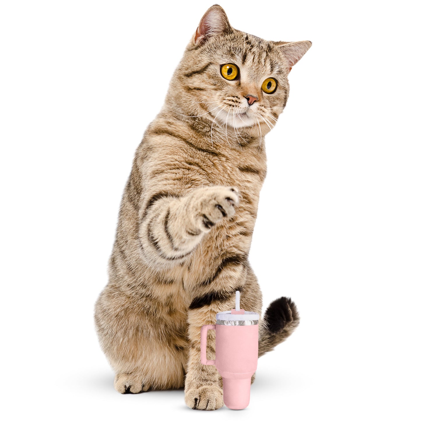 Kitty Cup Cat Tumbler Toy with Catnip & Crinkle Paper- Ideal Cat Birthday Gift