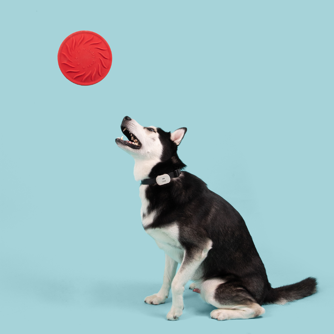 Jolly Tuff Flyer Dog Toy