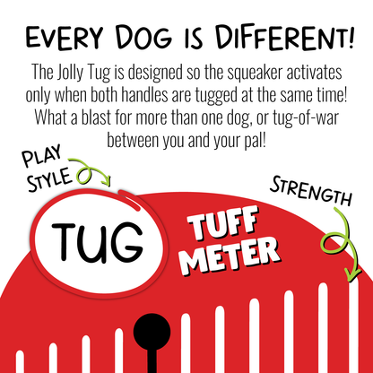 Jolly Tug Dog Toy