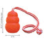 KONG Aqua Dog Toy 1ea/LG KONG