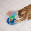 KONG Bat-A-Bout Glow Aquarium Cat Toy 1ea/MD KONG