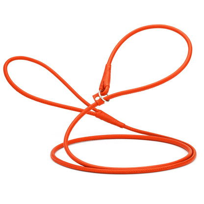 Soft Leather Round Slip Lead for Dogs