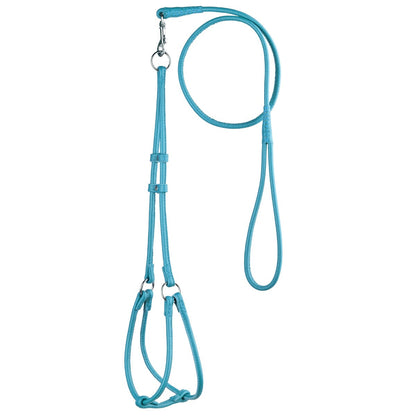 Soft Leather Round Step-In Dog Harness + Round Dog Lead