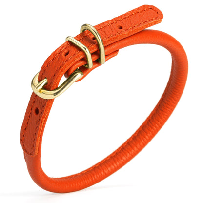 Soft Rolled Leather Dog Collar with Brass Hardware