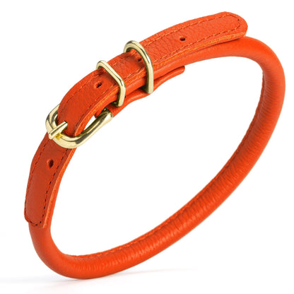 Soft Rolled Leather Dog Collar with Brass Hardware