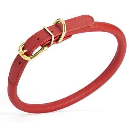Soft Rolled Leather Dog Collar with Brass Hardware