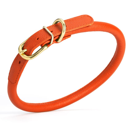 Soft Rolled Leather Dog Collar with Brass Hardware
