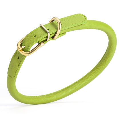 Soft Rolled Leather Dog Collar with Brass Hardware