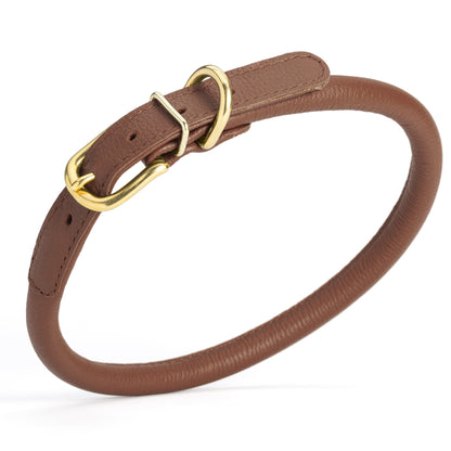 Soft Rolled Leather Dog Collar with Brass Hardware