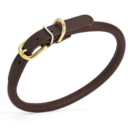 Soft Rolled Leather Dog Collar with Brass Hardware