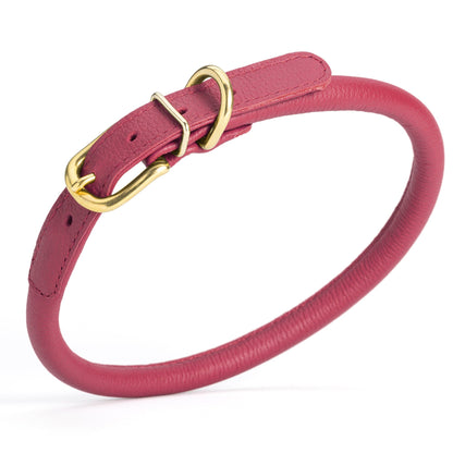 Soft Rolled Leather Dog Collar with Brass Hardware