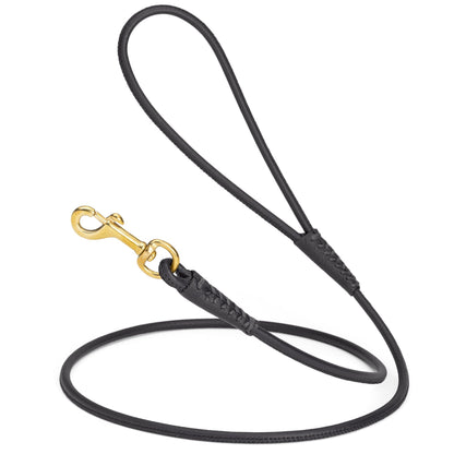 Rolled Leather Dog Leash with Brass Snap Hook