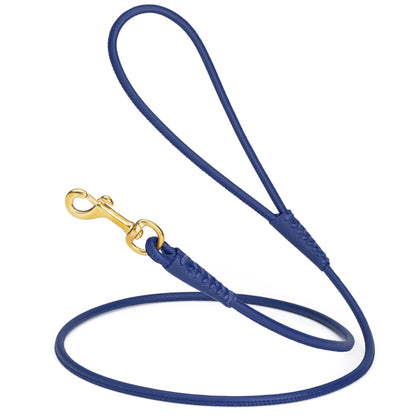 Rolled Leather Dog Leash with Brass Snap Hook