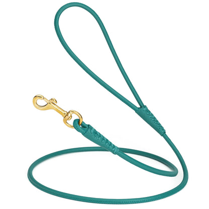 Rolled Leather Dog Leash with Brass Snap Hook