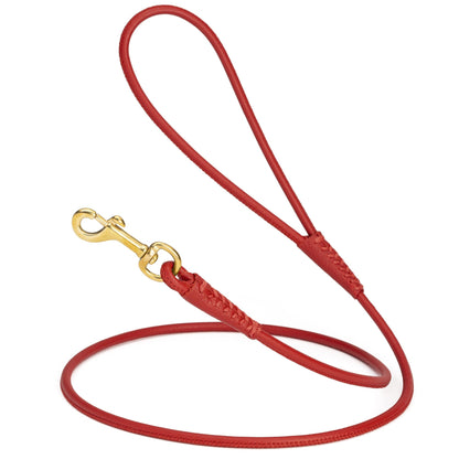 Rolled Leather Dog Leash with Brass Snap Hook