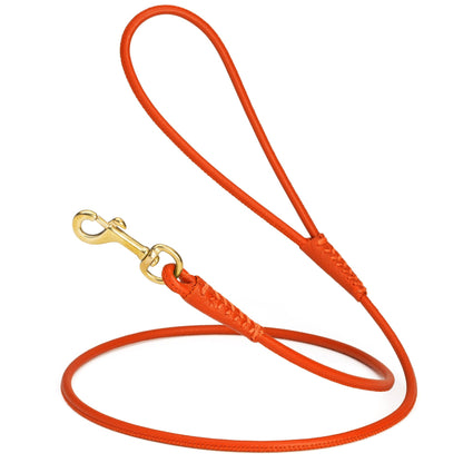 Rolled Leather Dog Leash with Brass Snap Hook