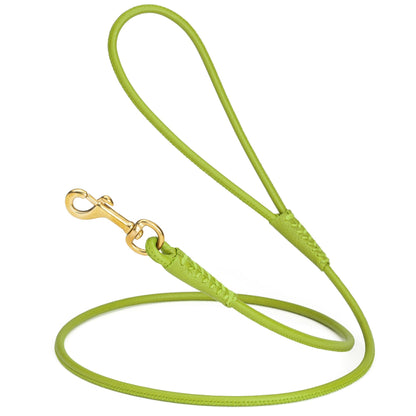Rolled Leather Dog Leash with Brass Snap Hook