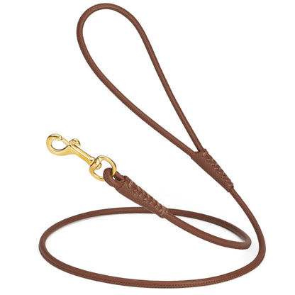 Rolled Leather Dog Leash with Brass Snap Hook