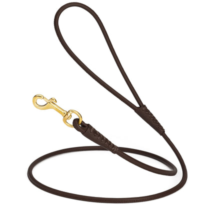 Rolled Leather Dog Leash with Brass Snap Hook