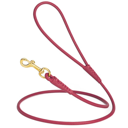Rolled Leather Dog Leash with Brass Snap Hook