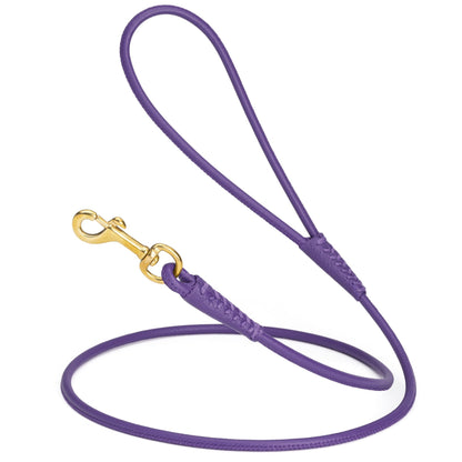 Rolled Leather Dog Leash with Brass Snap Hook