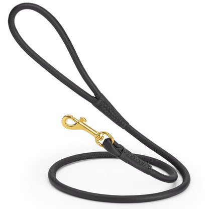Rolled Leather Dog Leash with Brass Snap Hook