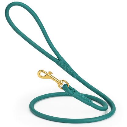 Rolled Leather Dog Leash with Brass Snap Hook