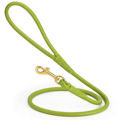 Rolled Leather Dog Leash with Brass Snap Hook