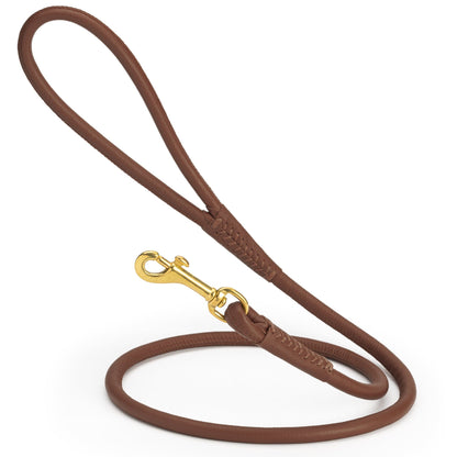 Rolled Leather Dog Leash with Brass Snap Hook