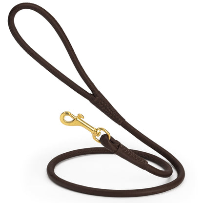 Rolled Leather Dog Leash with Brass Snap Hook