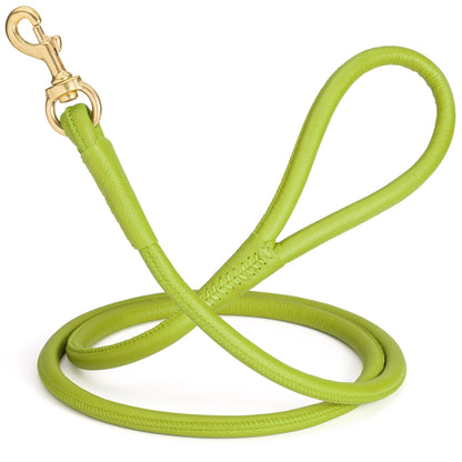 Rolled Leather Dog Leash with Brass Snap Hook