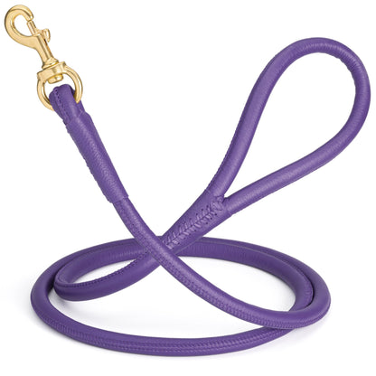 Rolled Leather Dog Leash with Brass Snap Hook