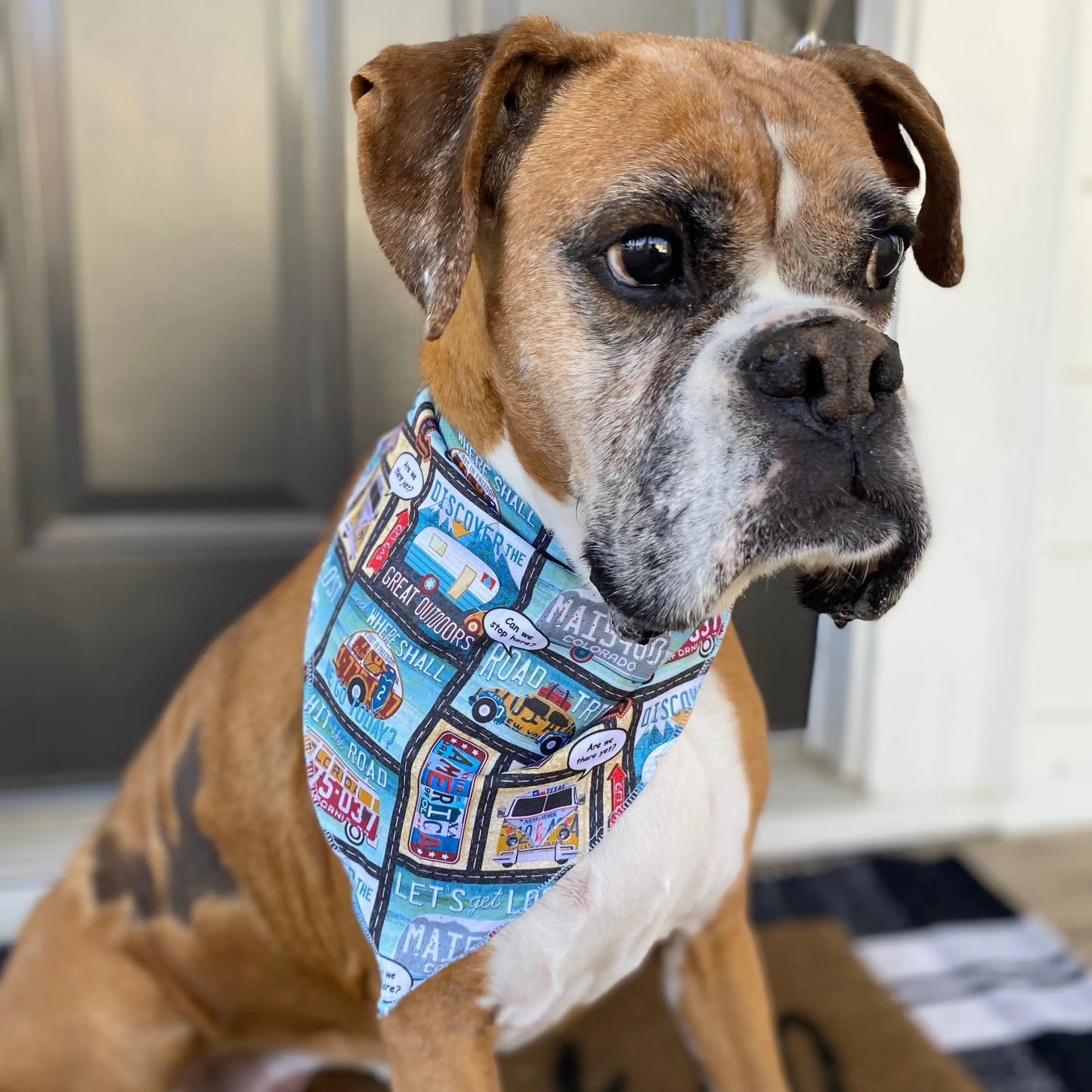 Let's Get Lost Travel & Camping Dog Bandana, Medium Wag & Bark