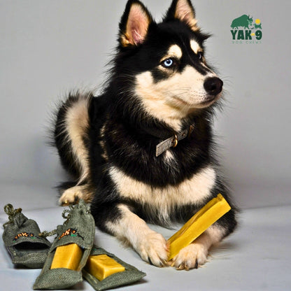 Yak and Cow Cheese Chews for Dogs