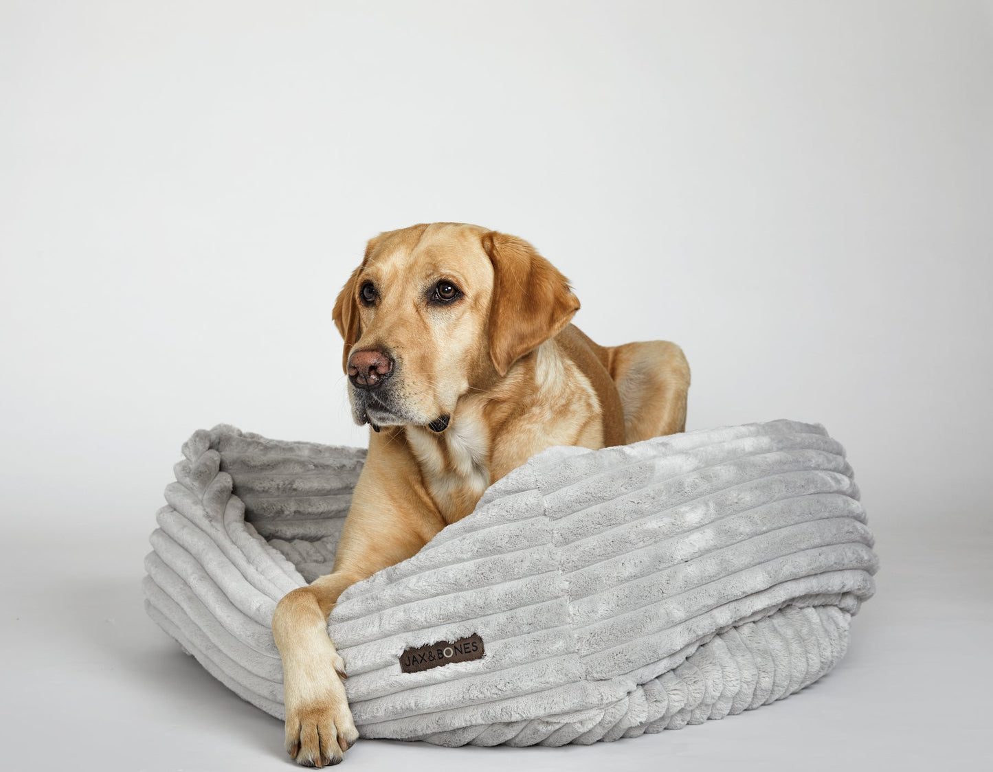 Luna Grey Napper Dog Bed with Bolsters