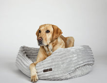 Luna Grey Napper Dog Bed with Bolsters