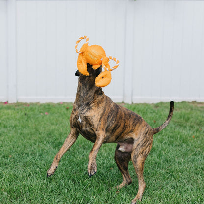 Tug-a-Mals Dog Toy by Jolly Pets