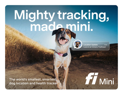 Fi Mini GPS Tracker for Dogs — 6-Month Membership Included — Smart Pet Tracking Collar Attachment — Lightweight, Virtual Fences, Escape Alerts, Step & Health, Waterproof