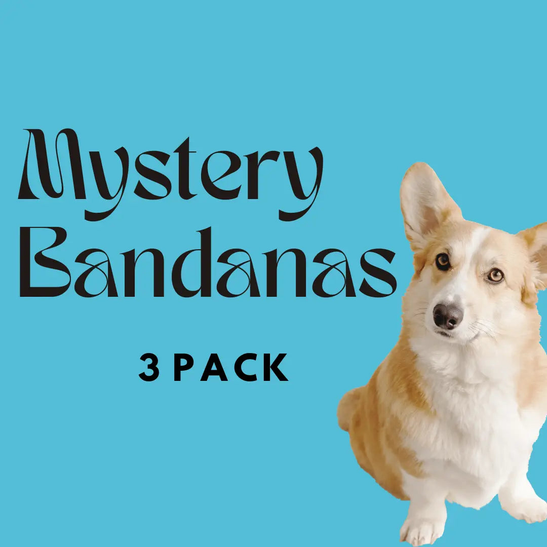 Mystery Dog Bandanas - 3 Pack Bundle Large Bark & Beyond