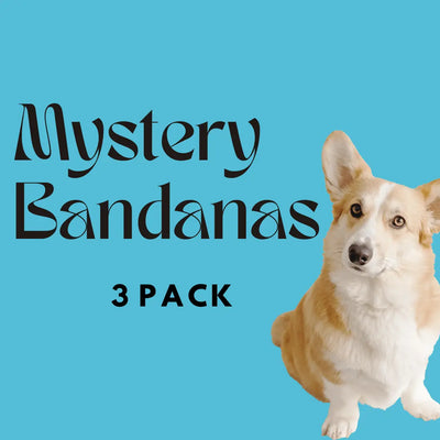 Mystery Dog Bandanas - 3 Pack Bundle Large Bark & Beyond