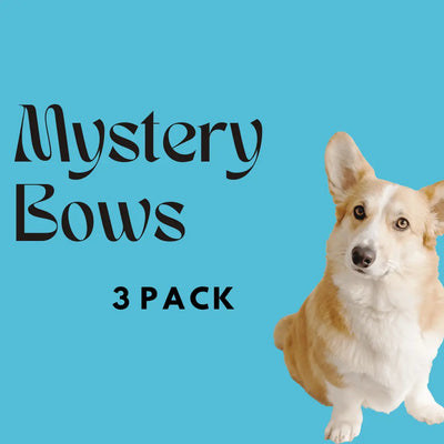 Mystery Dog Bows - 5 Pack Bundle Size Large The Social Dawg