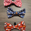 Mystery Dog Bows - 3 Pack Bundle Size Small The Social Dawg